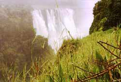 Victoria falls